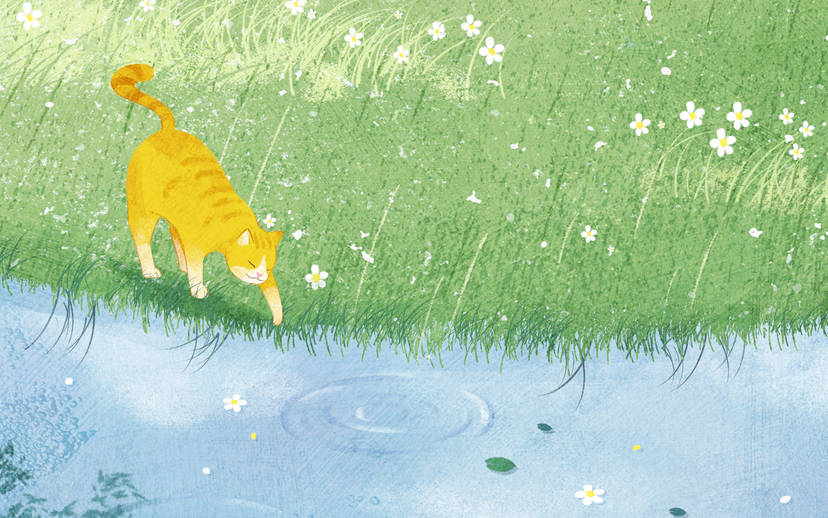 Cover image for I’m a Cat 1: What is Home?